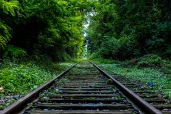 Train tracks engrossed in nature